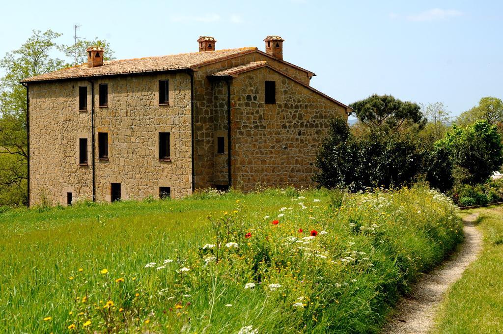 פיטיליאנו Agriturismo Naioli מראה חיצוני תמונה